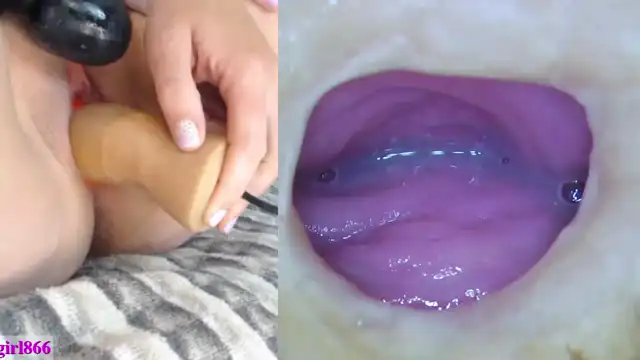 Danigirl866 – [Myfreecams] Ticket Show Masturbate Amateur – 2026-04-28 22:33:07