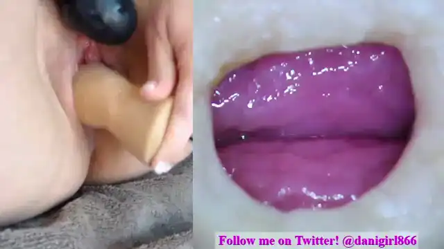 Danigirl866 – [Myfreecams] Ticket Cum Video Creamy Show Shaved – 2025-01-10 19:20:26
